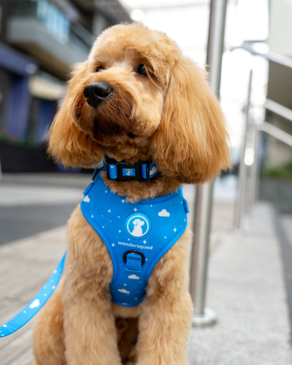 Origins Adjustable Harness